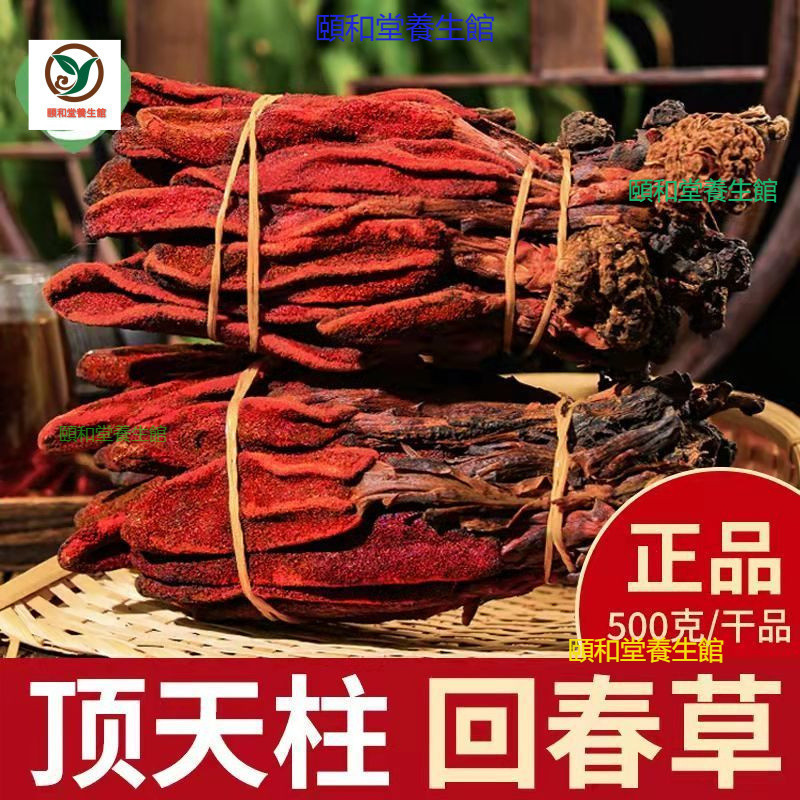 【品質保障】免運&正宗迴春草 迴春草 頂天柱 不老草 雲南迴春草 野生 擎天柱 迴春草粉 男人發動機 養生茶 | 蝦皮購物