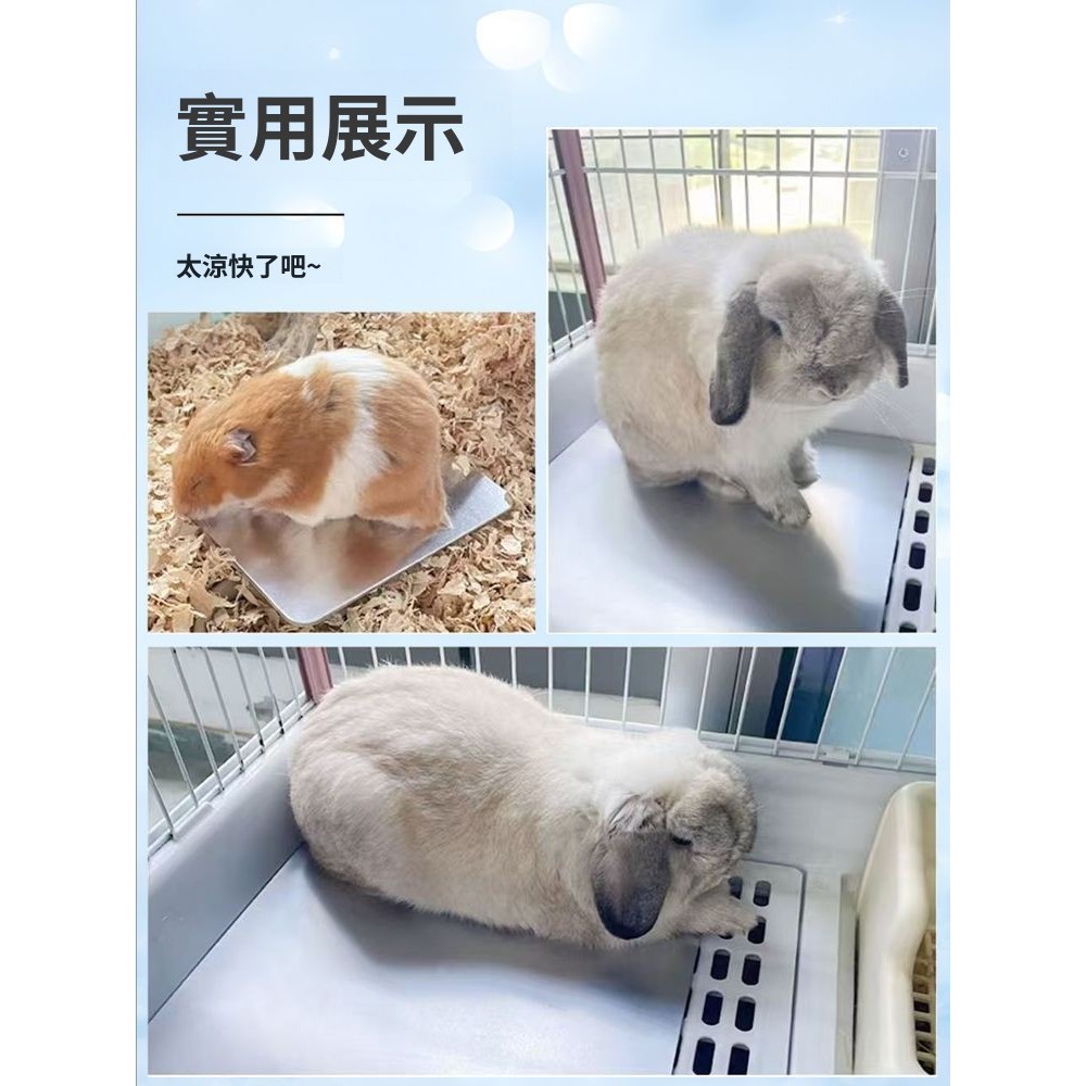 🐾台灣優選 倉鼠散熱板 倉鼠降溫板 倉鼠散熱墊 倉鼠涼墊 倉鼠降溫 倉鼠散熱 倉鼠散熱片 散熱板 散熱片 散熱墊 倉鼠 | 蝦皮購物