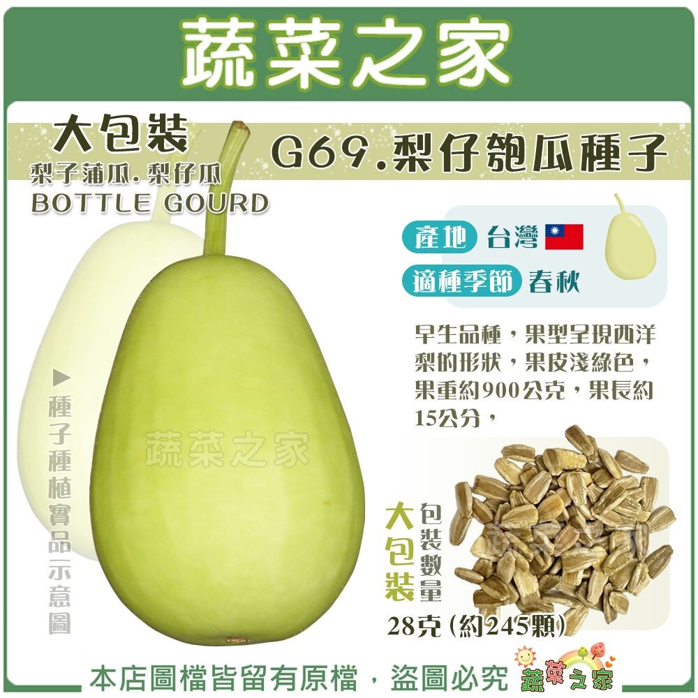 【蔬菜之家滿額免運】大包裝G69.梨仔匏瓜種子28克(約245顆)梨子蒲瓜.梨仔瓜 蒲瓜 匏仔 早生品種，果型美，耐儲運 | 蝦皮購物