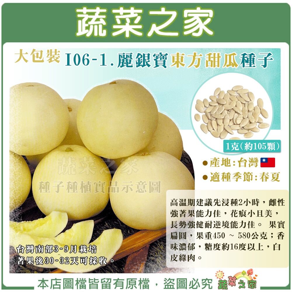 【蔬菜之家】大包裝I06-1.麗銀寶東方甜瓜種子1克(約105顆) (F1)美濃甜瓜 香瓜 梨仔瓜 香味濃郁 | 蝦皮購物
