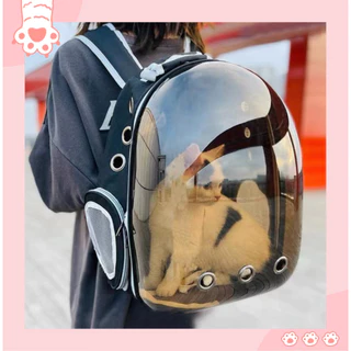 【安家】全景透明太空包 貓咪背包 寵物外出包 貓咪外出包 寵物雙肩包 貓咪太空包 貓外出包 寵物太空艙貓包
