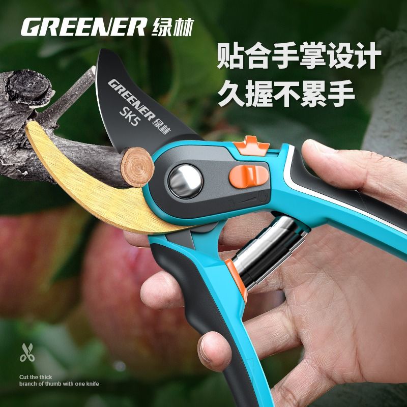 修枝剪 園藝剪刀 樹枝專用剪刀 園藝剪枝果樹修枝花剪 園林修花花卉剪 快速出貨 | 蝦皮購物