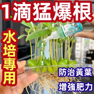 水培植物營養液- 優惠推薦- 2023年10月| 蝦皮購物台灣