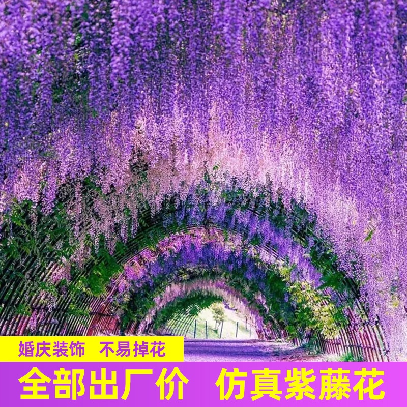 居家生活 裝飾鮮花 假花絹花 花束 乾燥花 人造花 婚慶假花 藤條豆花串 紫羅蘭塑膠絹花 裝飾藤蔓 植物吊頂花 仿真紫藤 | 蝦皮購物