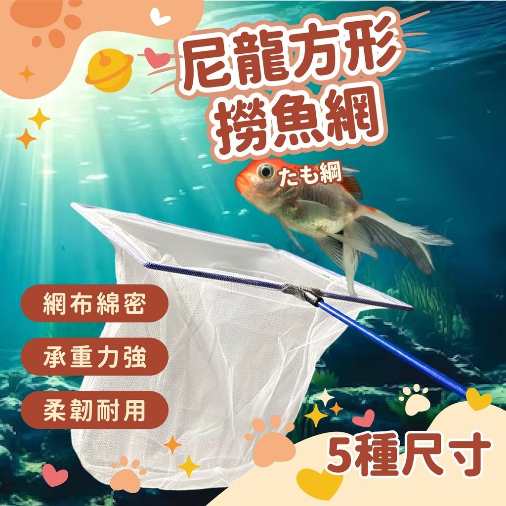 塑膠魚- 優惠推薦- 2024年2月