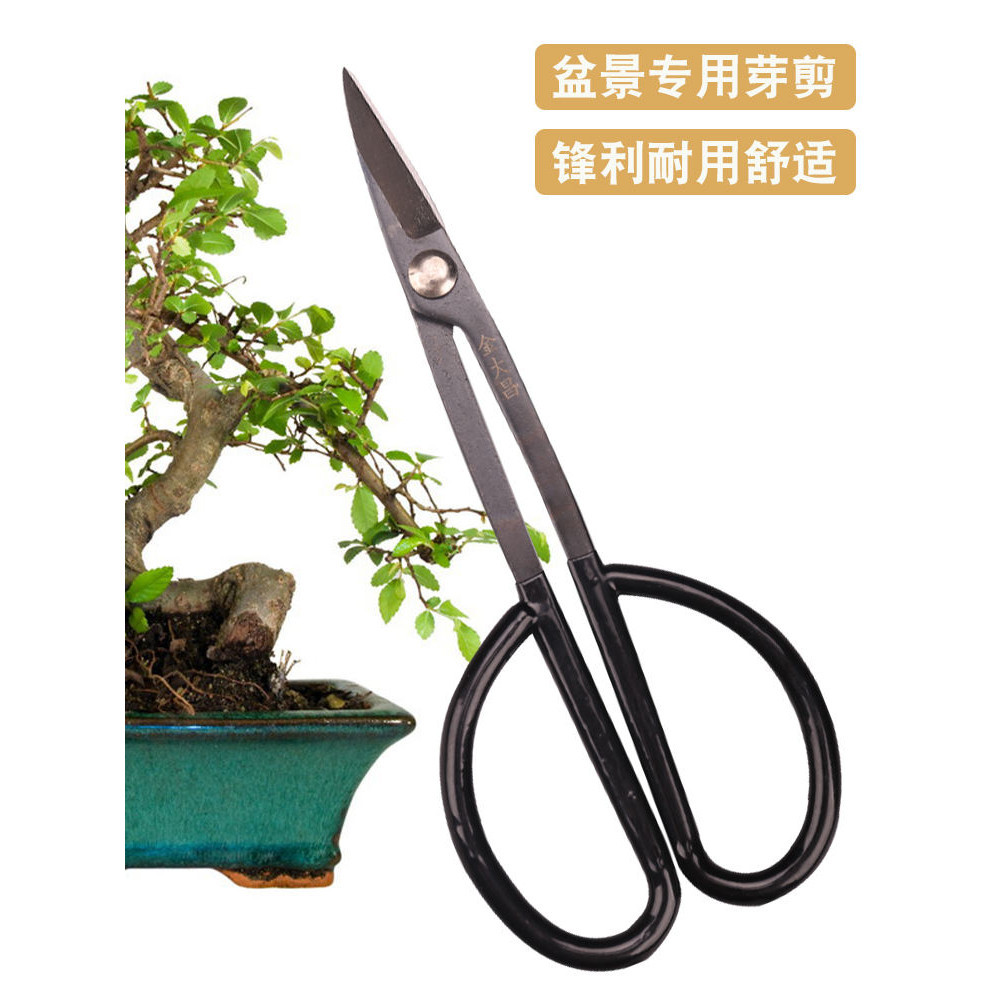 金大昌葉芽小枝剪盆景剪刀修剪芽剪園藝修枝專業花剪插花製作工具 | 蝦皮購物
