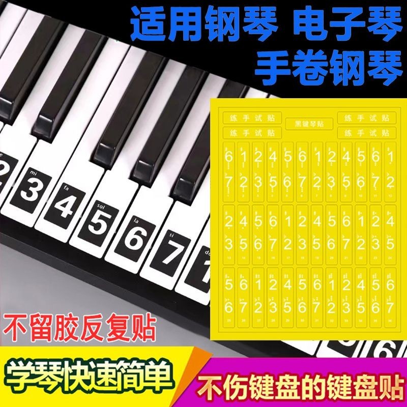 【快速出貨】鋼琴鍵盤貼88/61/54通用電子琴貼紙手卷琴五線譜簡譜初學簡譜白字 | 蝦皮購物