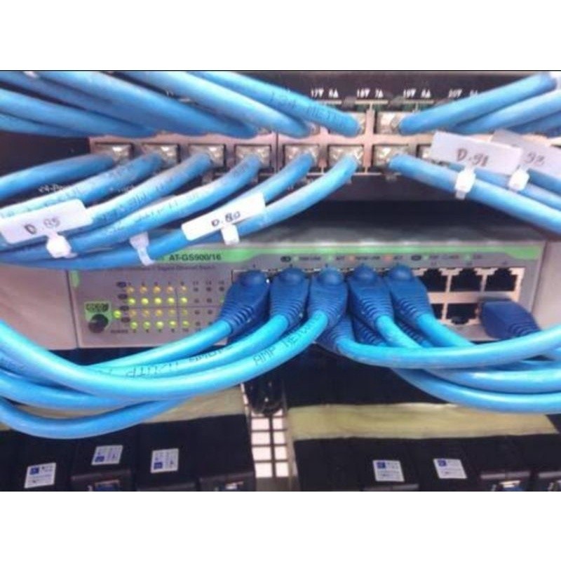 Belden Blue CAT 6 技嘉服務器 LAN 電纜全插頭手工 RAV 解決方案 | 蝦皮購物