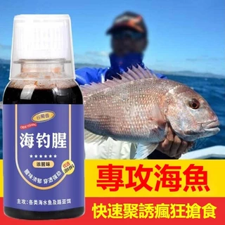 石斑魚餌- 優惠推薦- 2024年4月