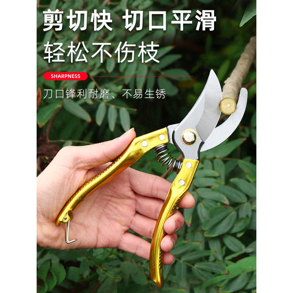 【秒發*臺灣專供】 SK5粗枝剪園林園藝修枝剪修花枝剪果樹剪花卉稀果剪採摘水果神器 | 蝦皮購物