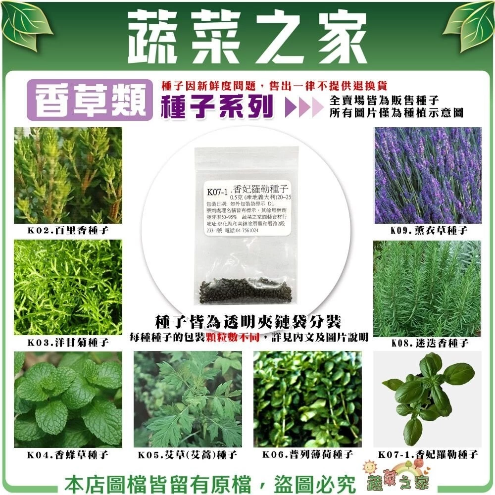 蔬菜之家 香草類種子系列 迷迭香種子 薄荷種子