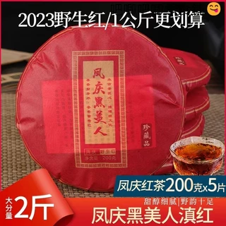 野生紅茶- 飲料、沖泡品優惠推薦- 美食、伴手禮2025年10月| 蝦皮