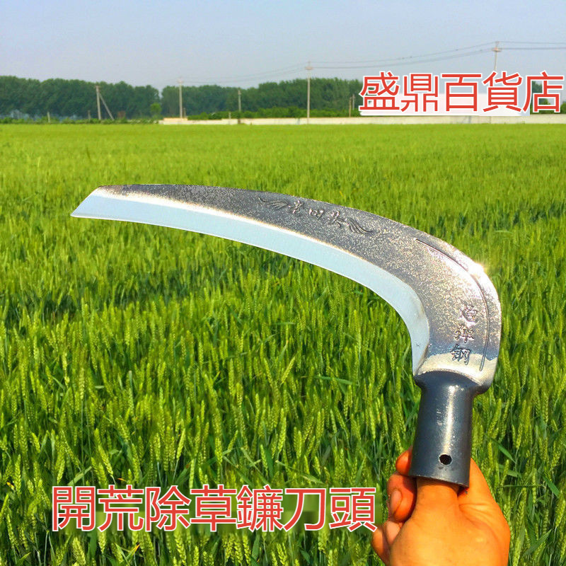 🔥臺灣熱銷🔥 農具#農用大角度站立式釤鐮刀開荒除草鐮刀頭錳鋼鐮刀割草特快耐磨 | 蝦皮購物