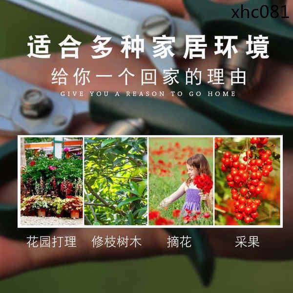 小花剪修剪修枝剪刀肉迷你小花修園藝植物枝葉園林養花剪多 | 蝦皮購物