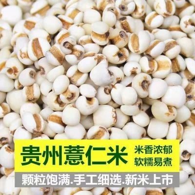 薏仁米新货特级优质米仁贵州兴仁薏米仁配赤豆红豆商用五谷杂粮 | 蝦皮購物