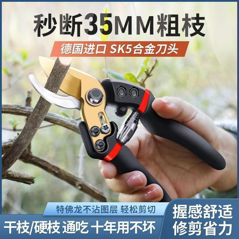 SK5 園林剪 10寸 修枝剪 果樹剪 高枝剪 園藝剪刀 粗枝剪 花枝剪 粗枝剪 樹枝剪 强力園林修枝剪 | 蝦皮購物