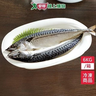 NG 鯖魚一夜干 6kg/箱(足重出貨)約13-20尾-200g~450g/尾【愛買冷凍】