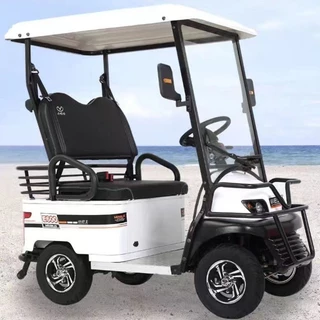 【臺灣專供】新款E600高爾夫球車電動四輪代步車雙人電動接送孩子成人遊覽電車