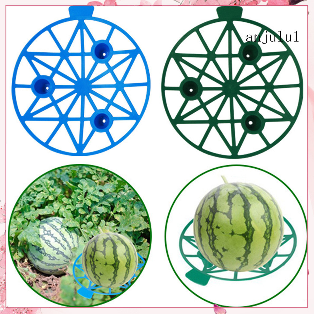 10 件裝瓜架支架可重複使用的花園西瓜架格子防風雨植物支撐托盤,適用於西瓜南瓜 Cantaloupe | 蝦皮購物