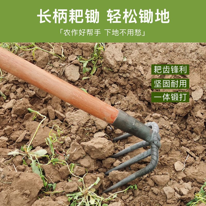 【臺灣出貨/可開發票】兩齒 三齒 鋼耙 菜園釘耙 農用工具大全 鬆土 抓鉤 翻地 摟草耙子 四齒鋤頭 | 蝦皮購物
