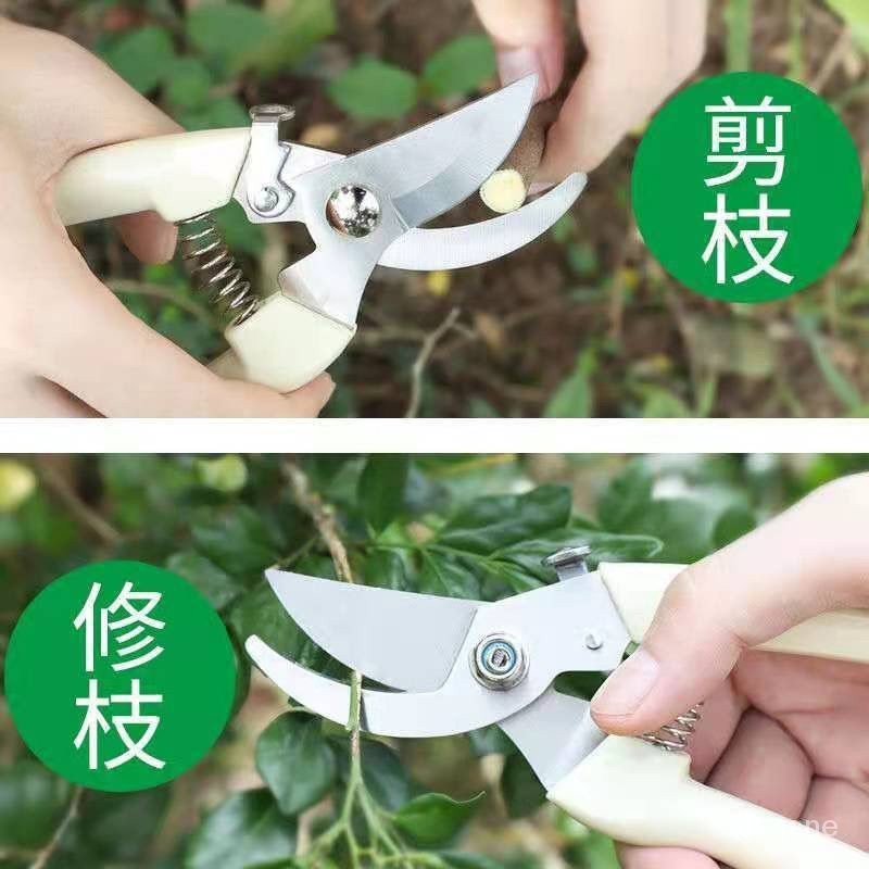 【熱銷】德國進口鋼粗枝剪省力修枝剪刀園藝修花木果樹嫁接植物修剪盆栽 | 蝦皮購物