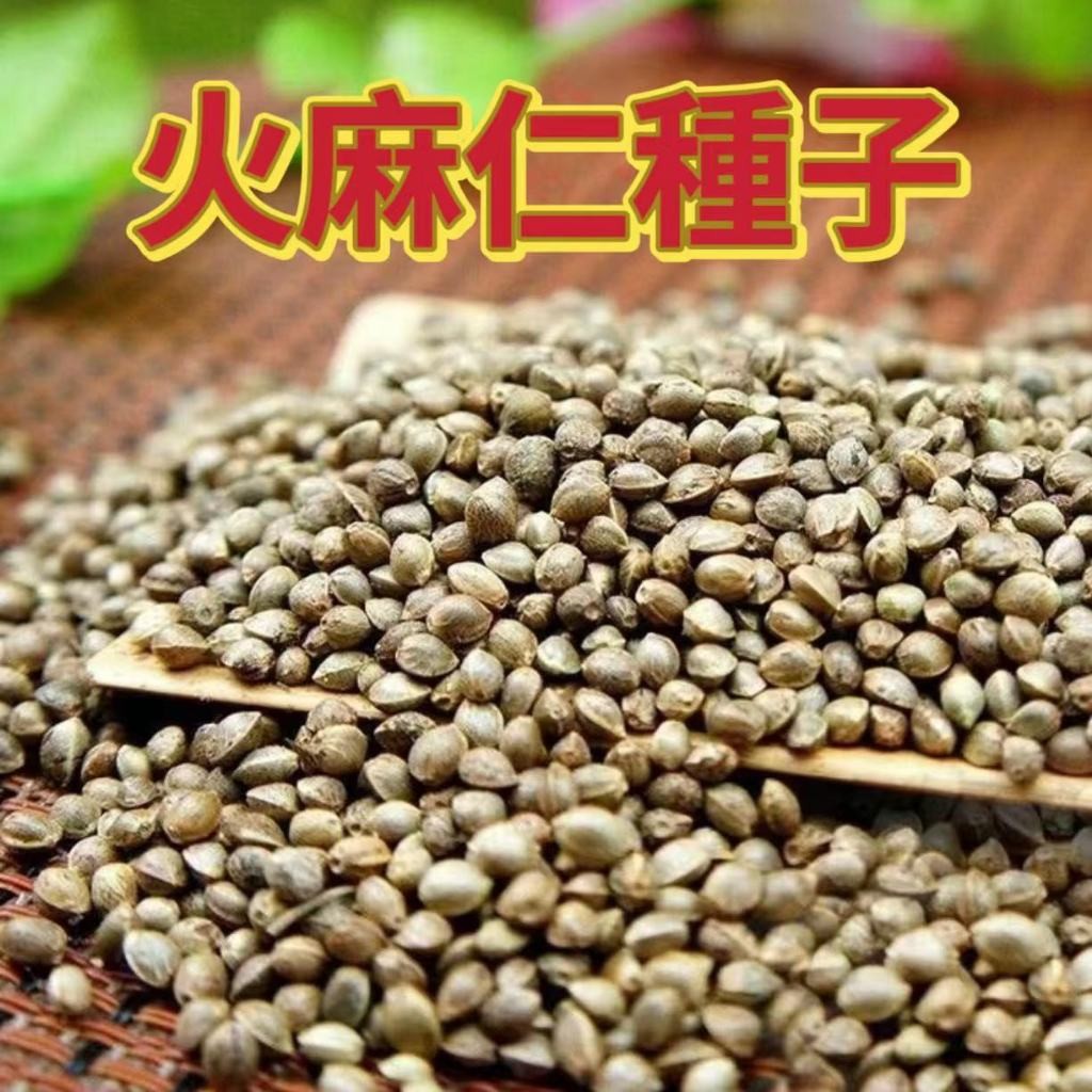 甜蜜購物 正宗火麻仁 中藥材火麻子 通腸潤便 火麻仁 火麻仁茶 火麻籽四季常青 | 蝦皮購物