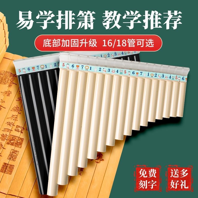學生版16管18管排簫初學者入門排笛兒童中小學生專業級級民族C調 限時下殺 | 蝦皮購物