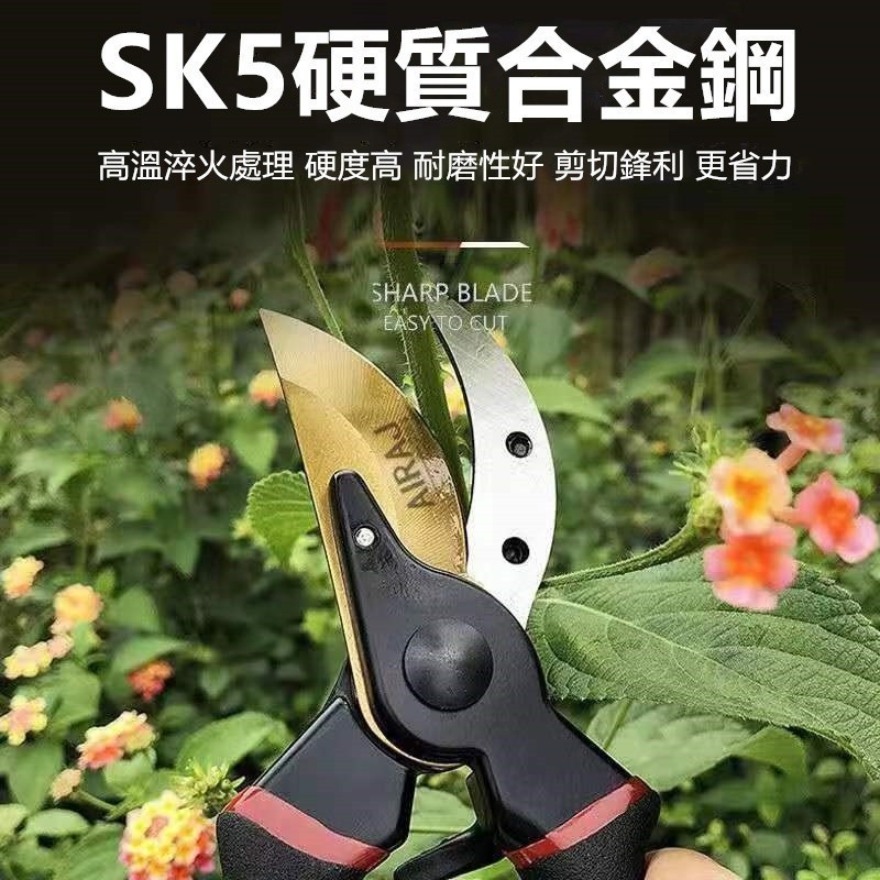 【⚡精選優品】粗枝剪刀 修花剪刀 果樹剪 園藝工具 花藝剪刀 SK5 樹枝剪 園藝剪 花剪 園藝剪刀 修枝剪 高枝剪 | 蝦皮購物