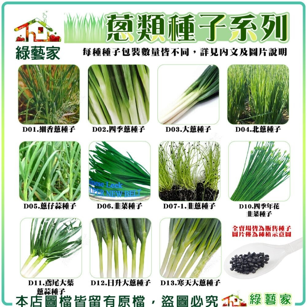 【綠藝家】蔥類種子系列(各種包裝數量詳見內文及圖片說明)蔥 細香蔥 四季蔥 大蔥 北蔥 蔥仔蒜 韭菜 九條蔥 | 蝦皮購物