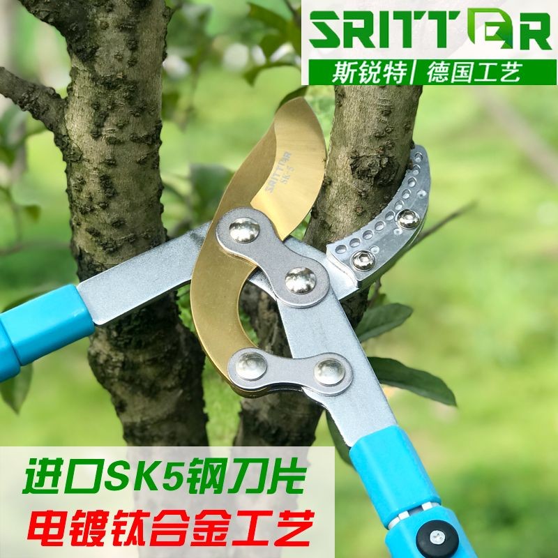 【台灣熱賣】果樹修樹枝剪刀 粗枝剪 樹枝專用剪子 修枝剪 伸縮強力園藝園林大剪刀 | 蝦皮購物