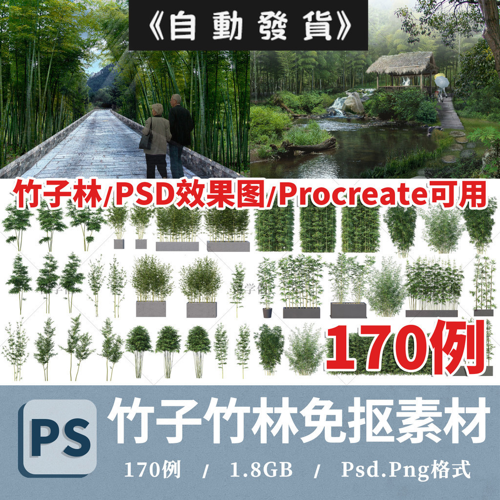 竹子竹林園林景觀竹ps素材PNG免摳效果圖配景掛角新中式庭院盆栽 | 蝦皮購物