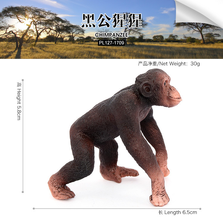 Monkey 猴子造型動物紙鎮