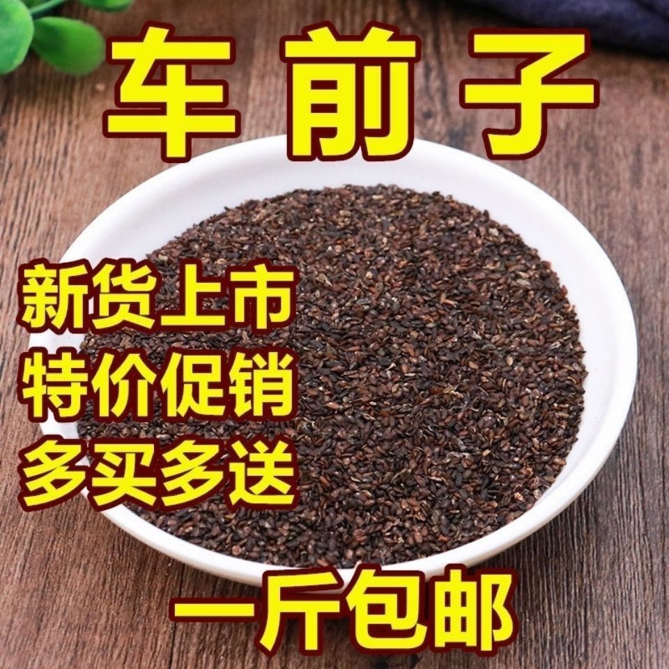 野生車前 子500g 特級 車前草籽 車前子茶 車前籽 泡水 | 蝦皮購物