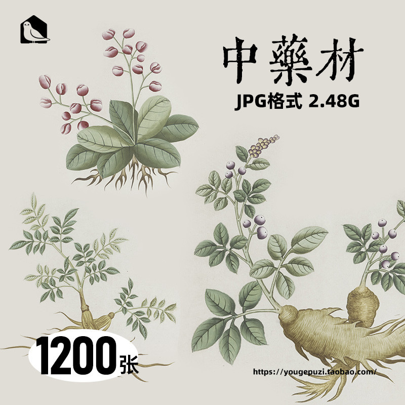 ⭐流量密碼 高清手繪中藥材中草藥本草植物1200張可商用PS海報包裝元素材JPG | 蝦皮購物