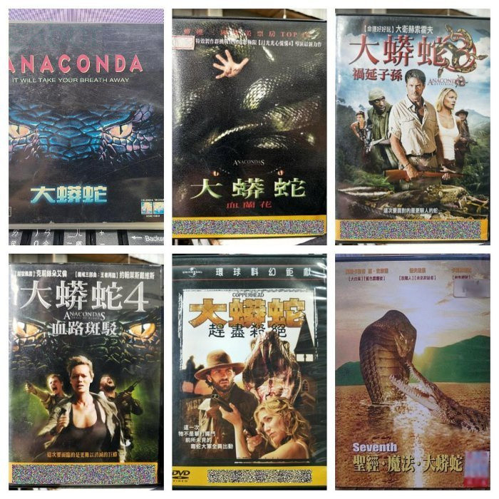 影音專賣店-G07-08-正版DVD 大蟒蛇1+2+3+4 趕盡殺絕 聖經 魔法 神出鬼沒 血蘭花 禍延子孫 血路斑駁 | 蝦皮購物