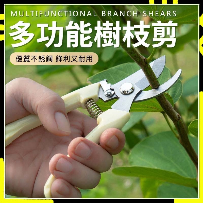 【堅固耐用｜銳利省力】不銹鋼 樹枝剪 修枝剪 花木剪刀 園林 花藝果樹剪 花枝剪刀 園藝剪刀 高枝剪 粗枝剪刀 剪刀 | 蝦皮購物