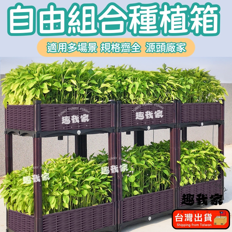 🔥台灣8H出貨🔥種植箱 飼養箱蔬菜種植箱 特大種菜箱 長方形花盆 組閤式種植盆 陽臺種菜盆 陽臺樓頂種菜神器DIY高度 | 蝦皮購物