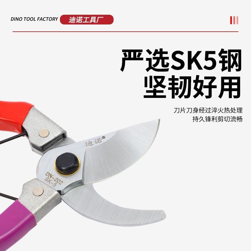 【台灣出貨】修枝剪刀 園藝修枝剪刀 果樹剪枝剪 多功能修剪剪刀 省力修枝剪 SK-5修枝剪 | 蝦皮購物