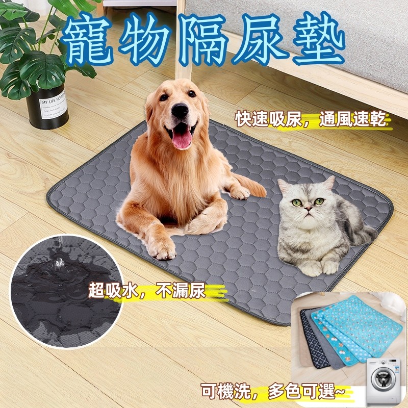 環保可洗寵物尿布墊