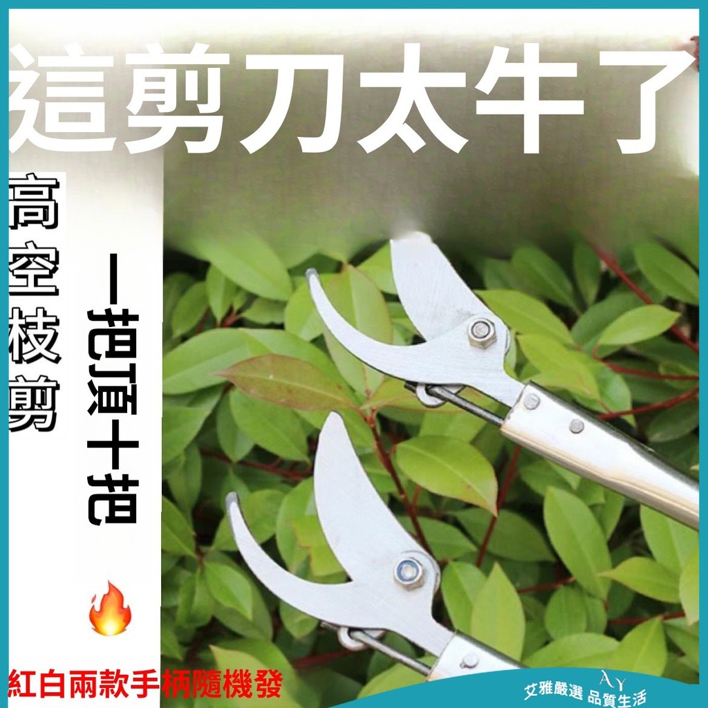 【免運 附發票】不銹鋼 修枝高空剪 修剪 園林 果樹枝 高枝剪刀 多功能 摘果神器 園藝工具 剪枝器 樹木修剪 採摘器 | 蝦皮購物