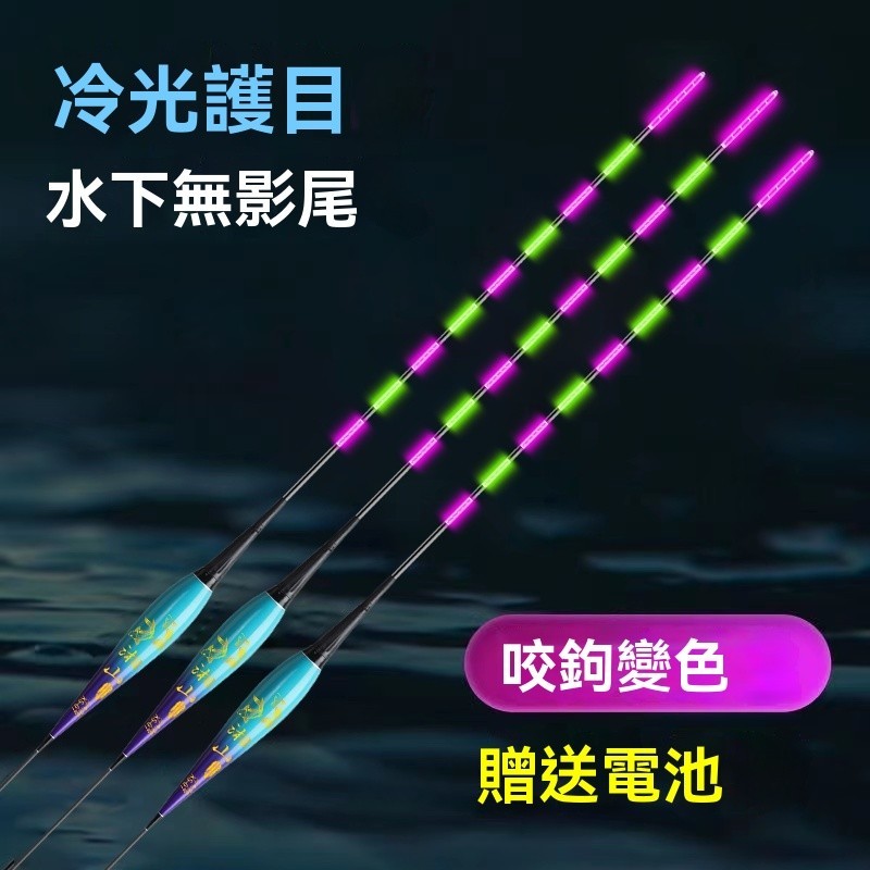 釣魚浮標 鯽魚浮標 高靈敏夜光浮標醒目咬鉤變色日夜兩用電子浮標 野釣浮標 釣具 立式浮標 魚標 溪釣浮標 | 蝦皮購物