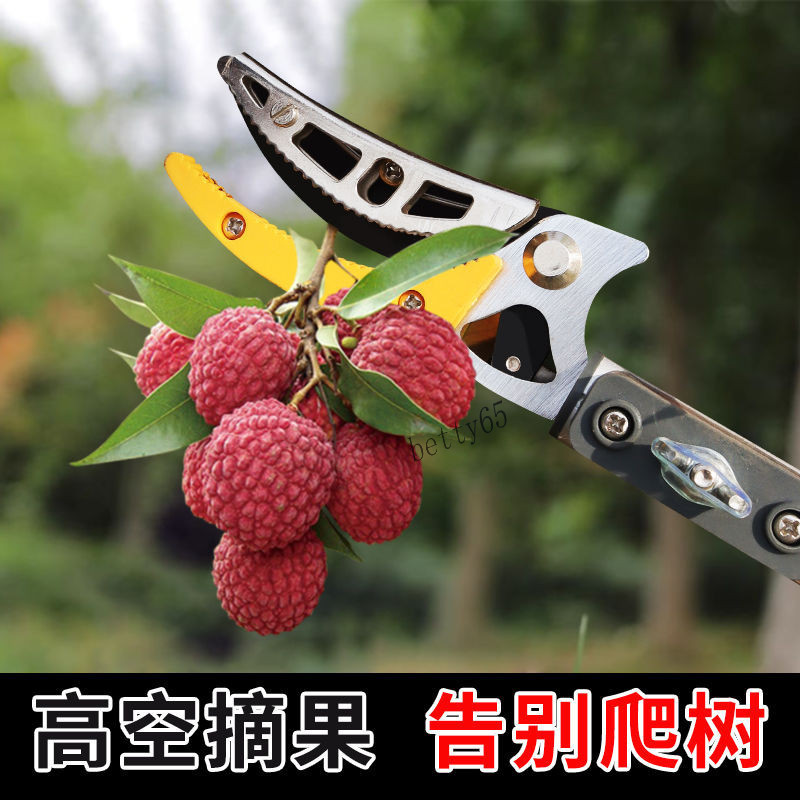 【今日特惠】高空摘果器 高空摘果剪伸縮桿 摘龍眼摘果子高枝剪新款摘果神器 枇杷 | 蝦皮購物