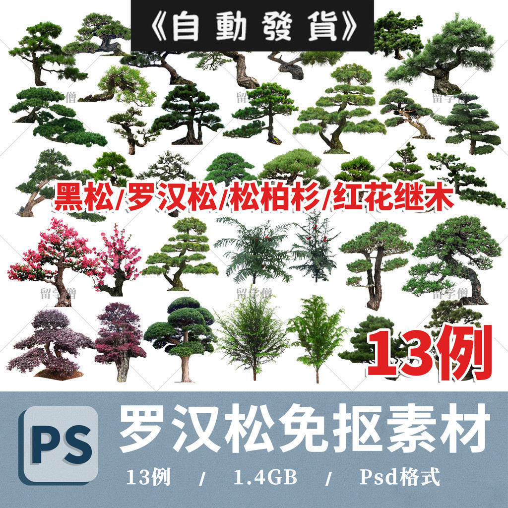 羅漢松植物素材黑松紅花繼木松柏杉樹ps植物素材古風松樹假山跌水15 | 蝦皮購物