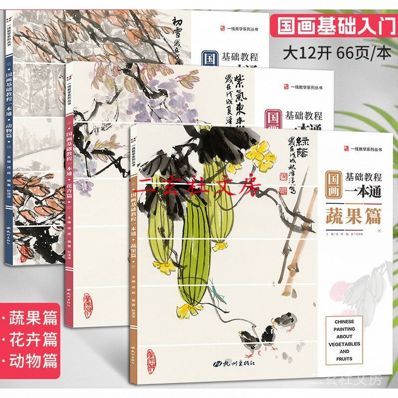 天一堂 全3冊 國畫基本教程一本通葉澤淳蔬果篇零基本入門花卉寫意動物書 | 蝦皮購物