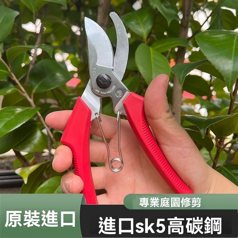 【三毛好物】原裝愛麗斯 ARS 120DX 修枝剪果樹粗枝剪園林剪枝剪 剪刀 | 蝦皮購物