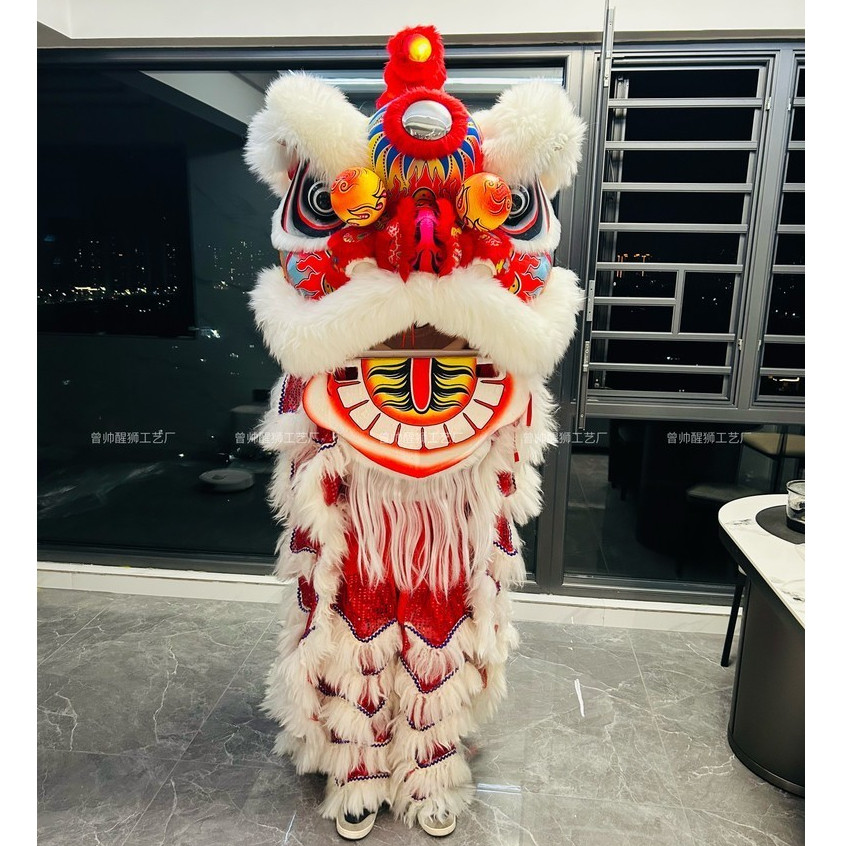 舞龍舞獅舞獅子佛山醒獅用品南獅醒獅頭成人全套雙人單人泡沫獅頭 雙鑫 | 蝦皮購物