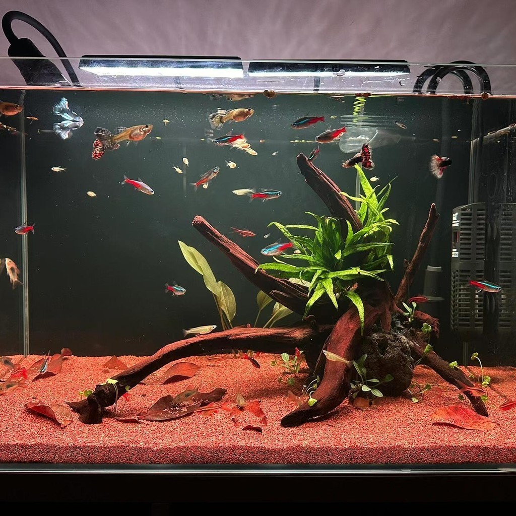 仿真樹脂假山 魚缸造景 水族造景 假山造景 魚缸裝飾 魚缸擺設 水族 仿真假山魚缸沉木天然微景觀造景金絲木水草缸龜缸紫柚 | 蝦皮購物