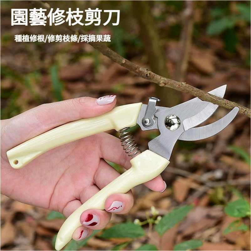 農用剪刀 樹枝剪 修枝剪 花木剪刀 園林 花藝果樹剪 花枝剪刀 摘果剪 高枝剪 粗枝剪刀 修花剪刀 果樹剪 園藝剪 | 蝦皮購物