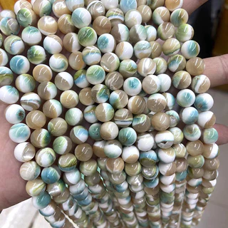 夜光貝- 優惠推薦- 2025年10月| 蝦皮購物台灣