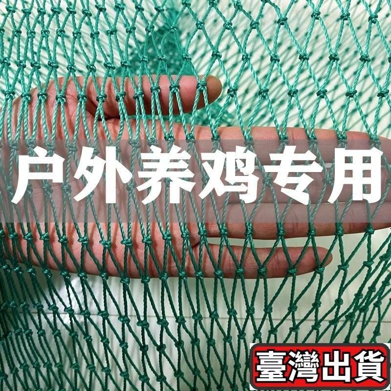 養殖網 防鴿網 養殖網養鷄網傢禽攔鷄鴨網圍網護欄網菜園網山鷄網鷄網爬藤網天網 養雞網 圍雞網 防鳥網 3 | 蝦皮購物